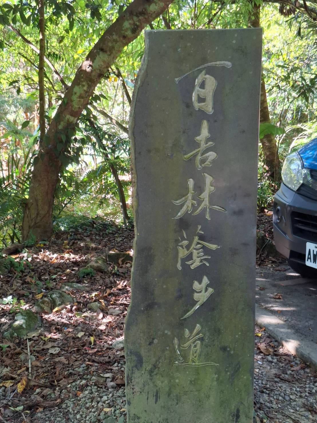 「百吉林蔭步道」刻字石碑與步道入口林蔭