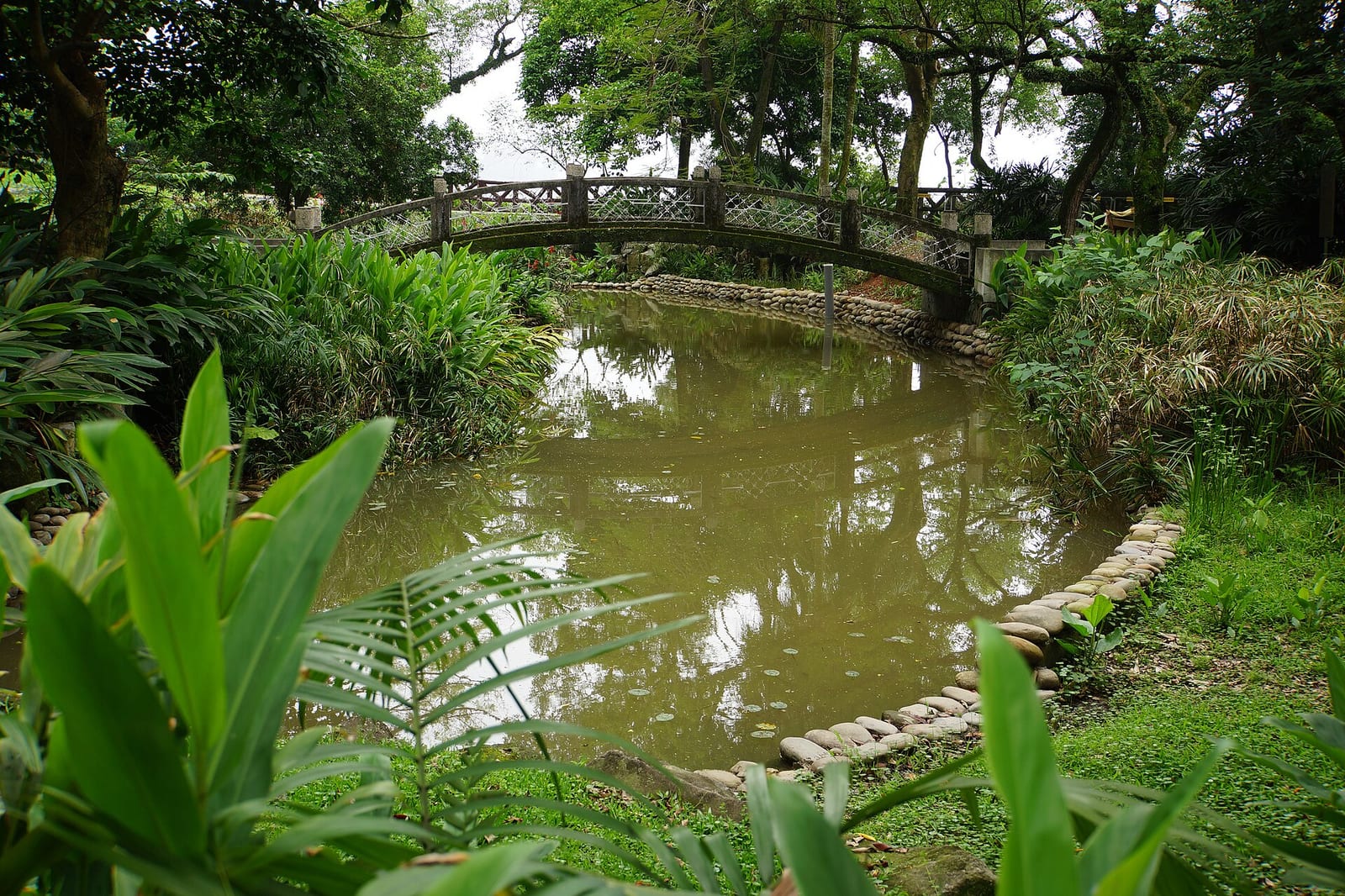 大溪中正公園內的水池與石拱小橋